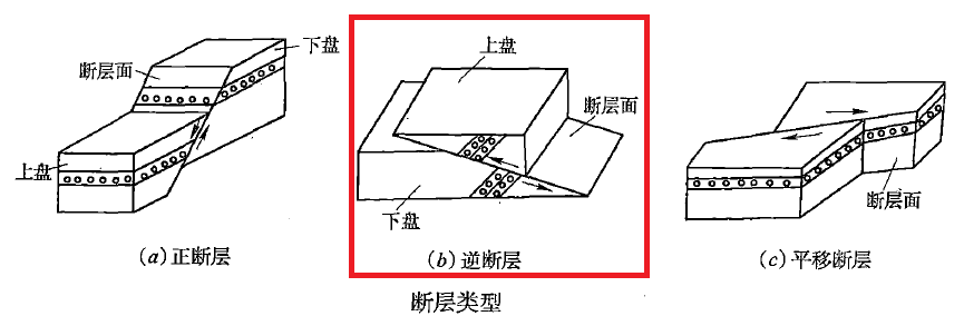 圖片10