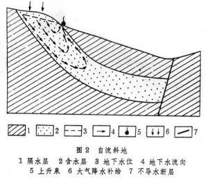 自然斜地