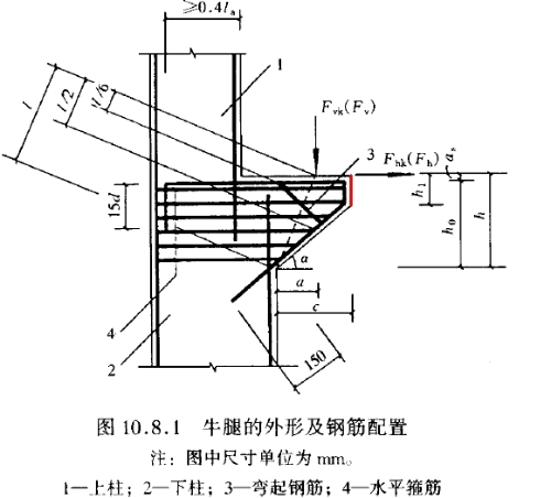 牛腿的外緣